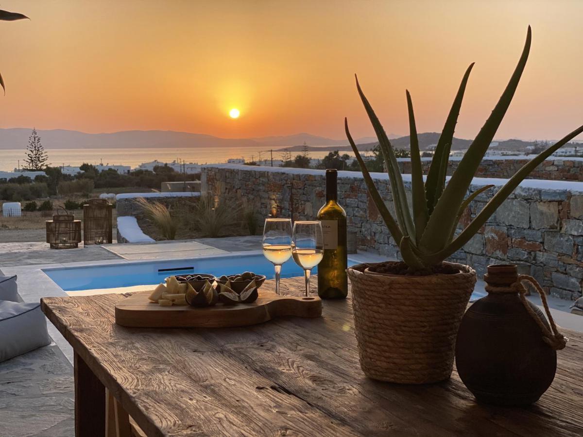 Villa Ypsilon Naxos - Luxury Holiday House With Amazing Sea View & Private Pool Agia Anna  Exterior foto