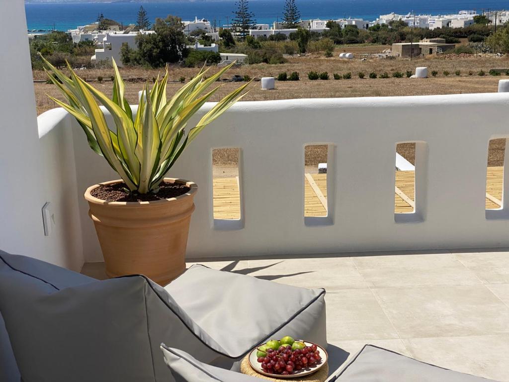 Villa Ypsilon Naxos - Luxury Holiday House With Amazing Sea View & Private Pool Agia Anna  Exterior foto